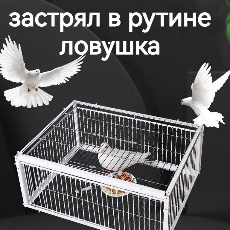Клетка-ловушка для голубей 90X40X26CM