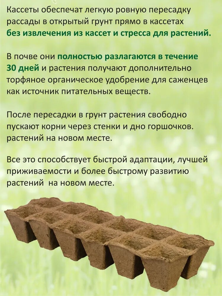 Изображение Кассеты для рассады торфяные 30х10х5 см, 12 ячеек, ячейки 5х5 см, объём ячеек 50 мл 24 шт