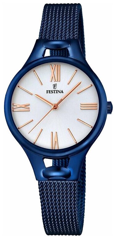 Наручные часы Festina F16953/1