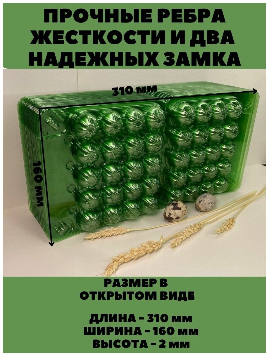 Упаковка лоток для перепелиных яиц, 20 ячеек, 300 шт/уп - фотография № 4
