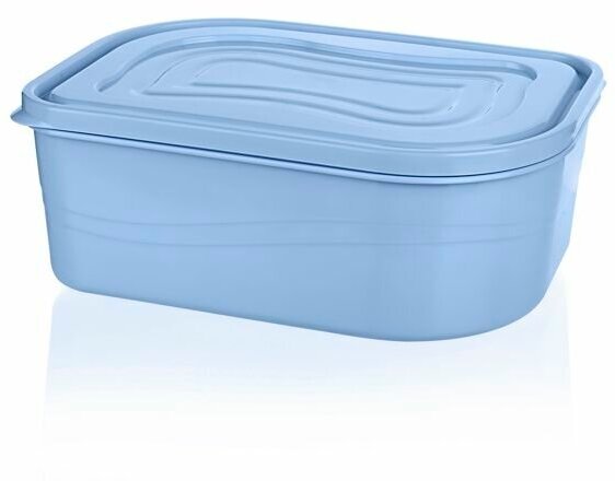 Пластиковый контейнер для хранения продуктов, Pure River 1 л, TITIZ, синего цвета