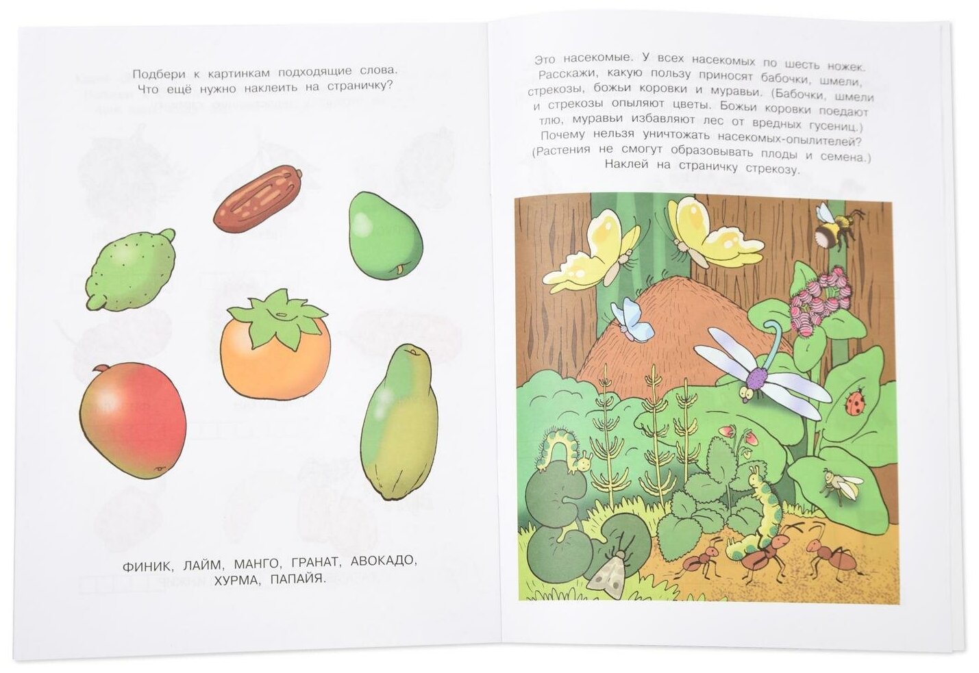 Знакомимся с природой 5-6 лет (Анджеевска Ю. , Земцова Ольга Николаевна) - фото №6