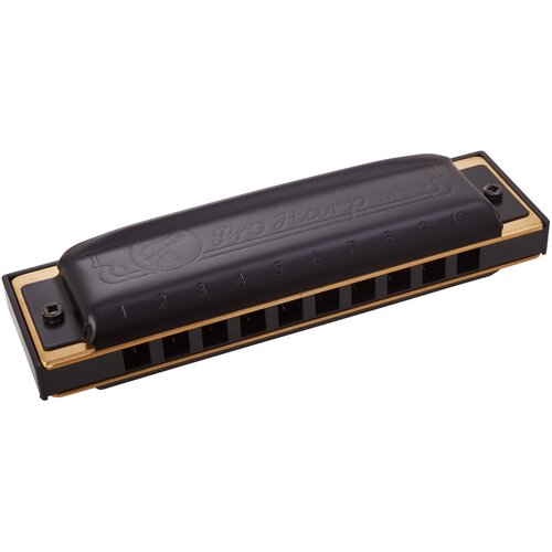 Губная гармошка Hohner Pro Harp 562/20 MS (M564036X) D, черный