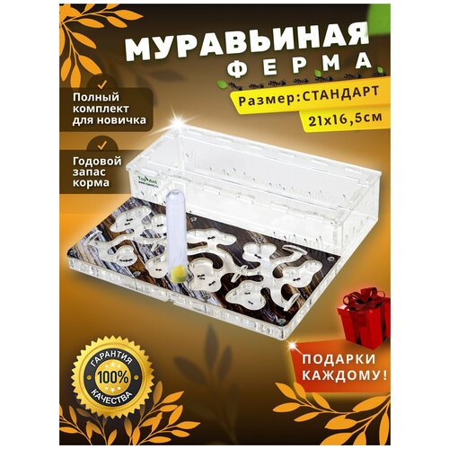 Стандартная муравьиная ферма максимальный комплект