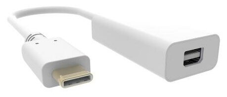 Адаптер miniDisplayPort Type-C BURO BHP RET TPC_MDP белый