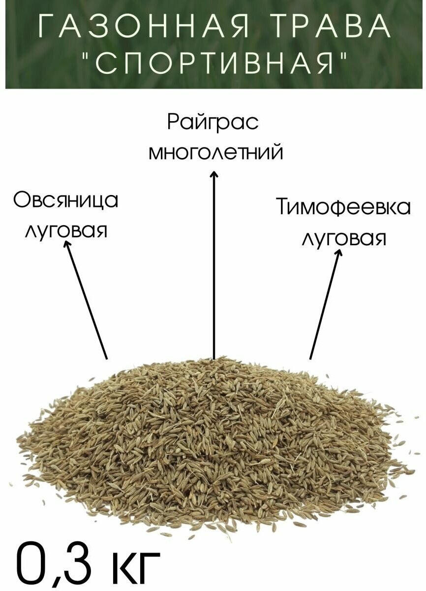 Газонная трава "Спортивная" 0.3 кг