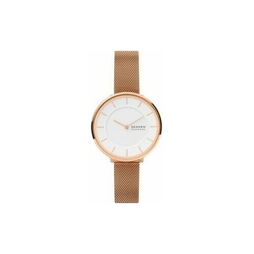 Наручные часы Skagen SKW3013