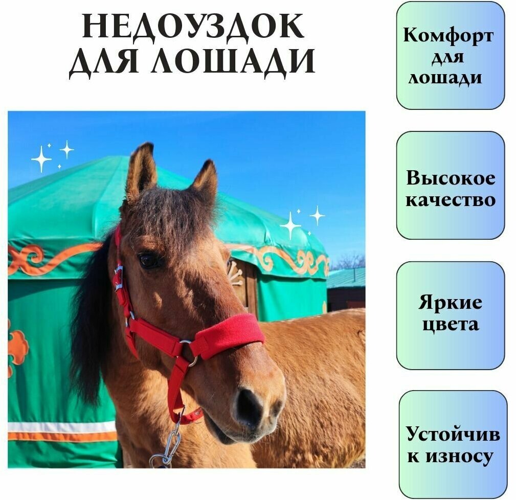 Мягкий красный недоуздок для лошади, размер Pony - фотография № 1