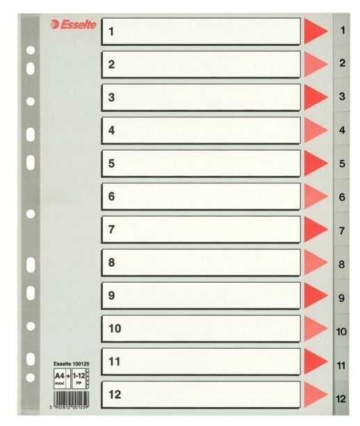 Разделитель 1-12 разделов Esselte MAXI, А4+, пластик, серый, титульный лист