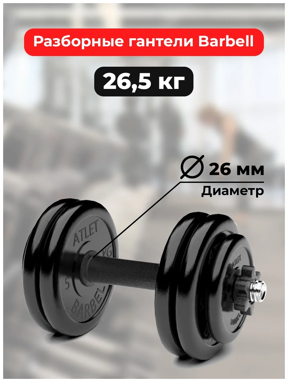 Гантель разборная MB Barbell MB-FdbM-At26.5 черный