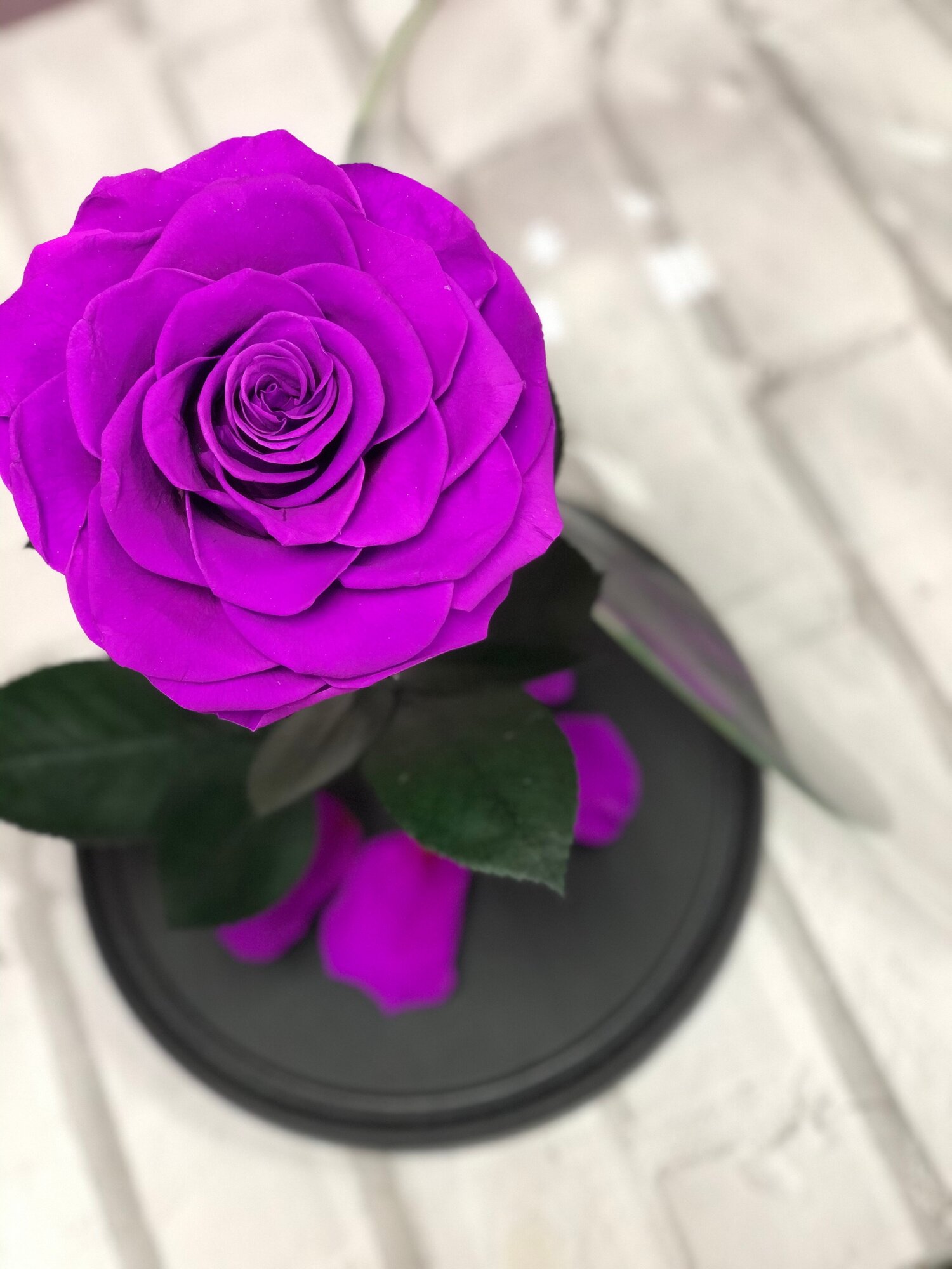 Фиолетовая роза в колбе "Люкс" с подарочной коробкой/32 см