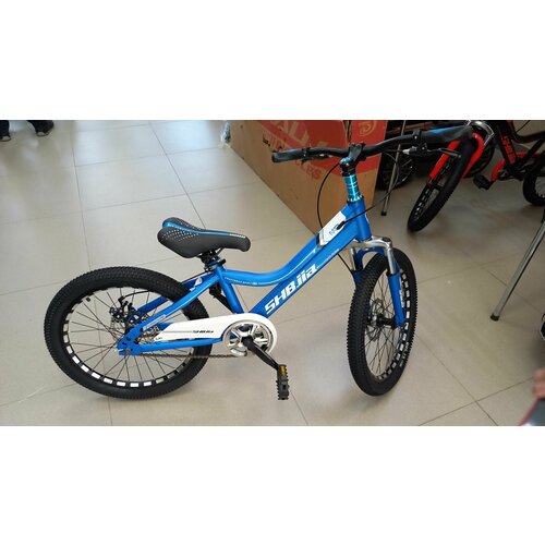фото Детский велосипед 20 дюймов колеса синий нет бренда