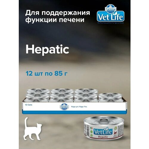 Влажный корм для кошек Farmina Vet Life Hepatic, при заболевании печени, 12 шт х 85 г