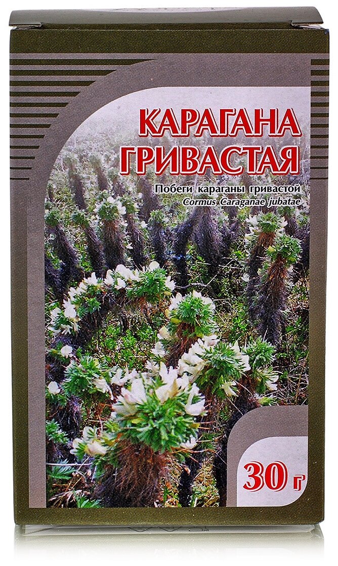 Хорст побеги Карагана гривастая, 30 г