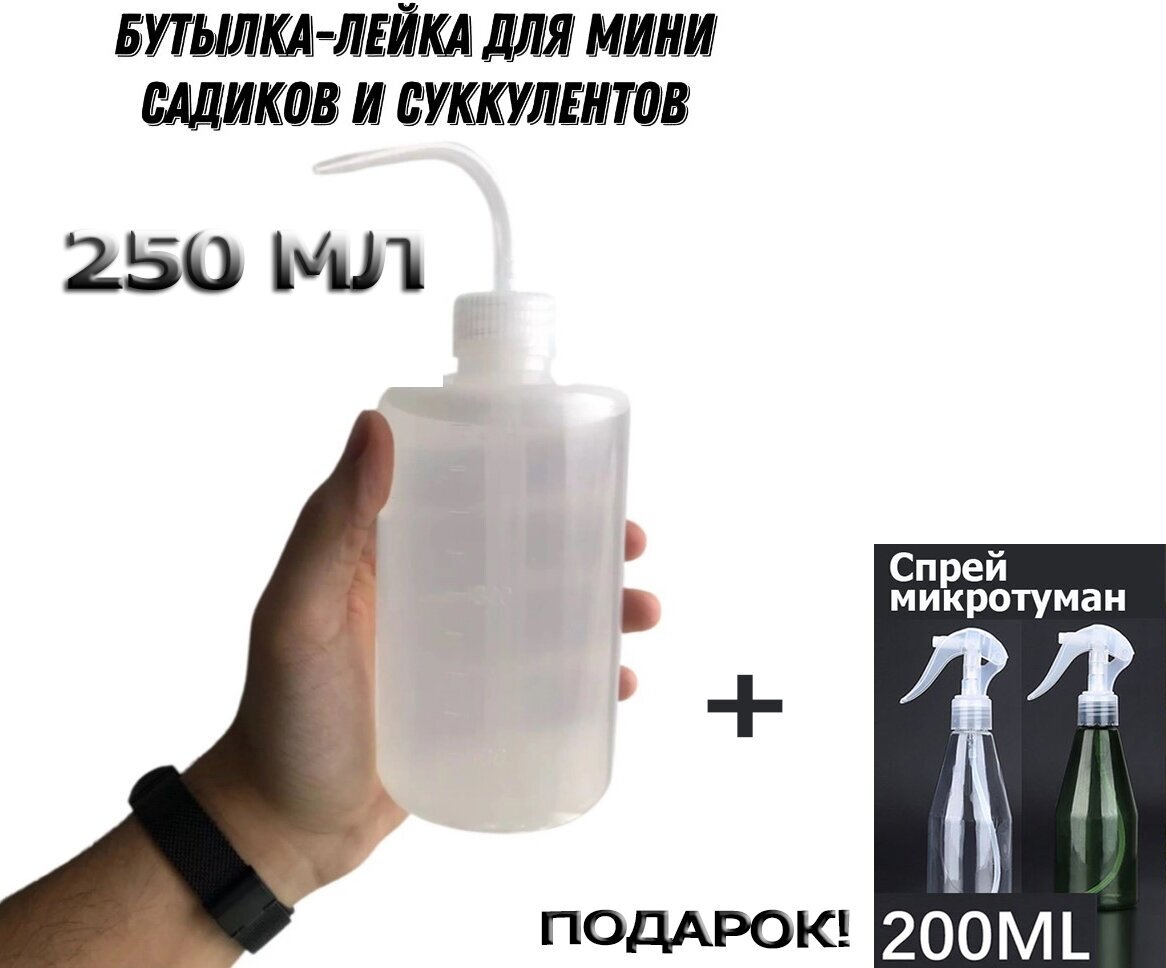 Бутылка для суккулентов и комнатных растений (лейка для полива), 250 мл. Подарок - спрей микротуман 200 мл