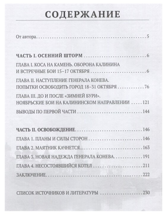 Сражение за Калинин (Фоменко Максим Викторович) - фото №6