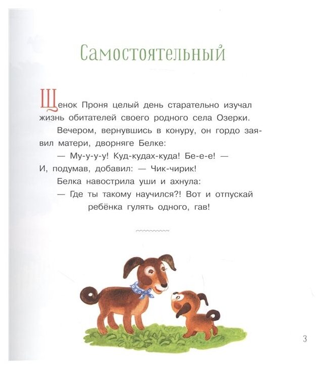 Щенок Проня. Сказки (Георгиев Сергей Георгиевич) - фото №4