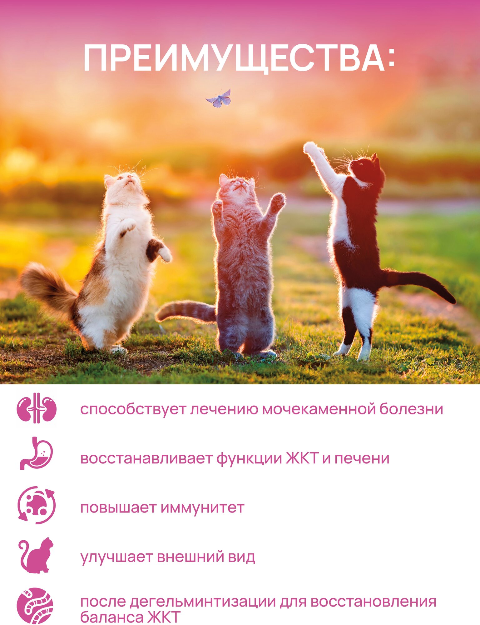 Цамакс кормовая добавка д/кастр.котов и стер.кошек 100г - фото №3