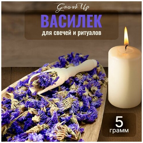 Сухая трава Статица (Василек) (цветы) для свечей и ритуалов, 5 гр сухая трава василек цветы для свечей и ритуалов 5 гр