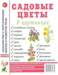 Садовые цветы в картинках. Наглядное пособие для педагогов, логопедов, воспителей и родителей (Гном)