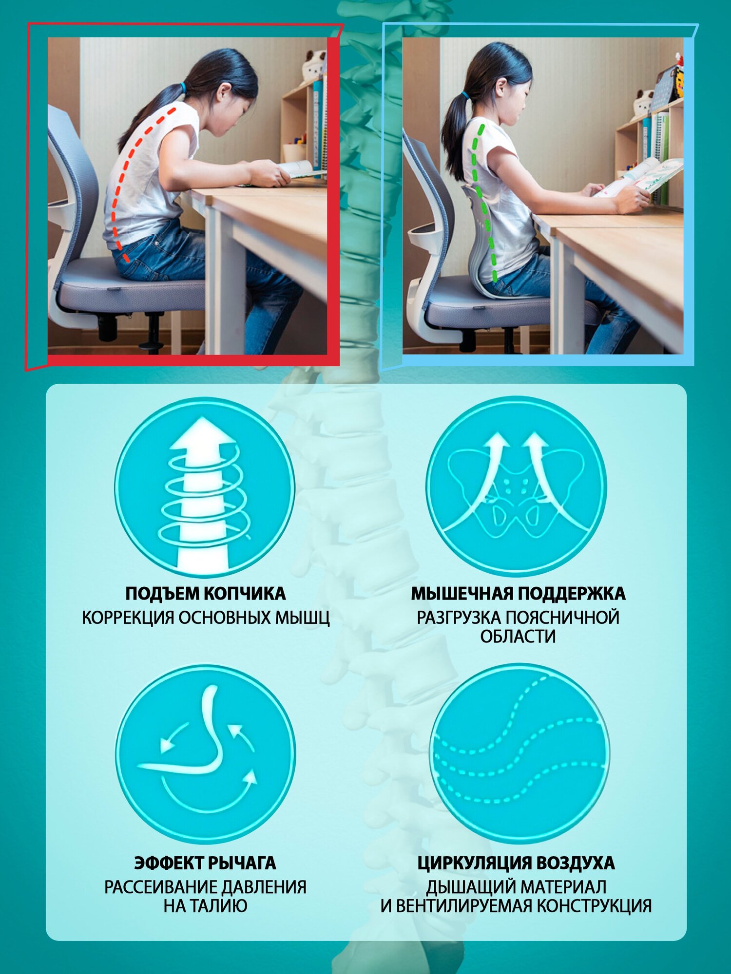 Ортопедический корректор осанки на стул для детей и взрослых