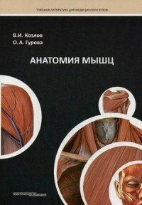 Изображение товара Козлов В. И, Гурова О. А. "Анатомия мышц. Учебное пособие"