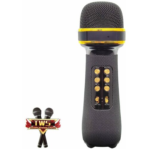 Микрофон беспроводной (Bluetooth, динамики, USB) WSTER WS-898 Черный микрофон bluetooth динамики usb bk3 серебро hoco