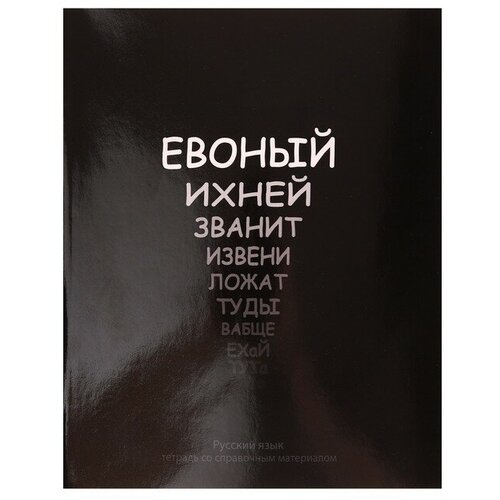 Тетрадь предметная На Чёрном 48 листов в линейку Русский язык, со справочным материалом, обложка мелованый картон, УФ-лак, блок офсет