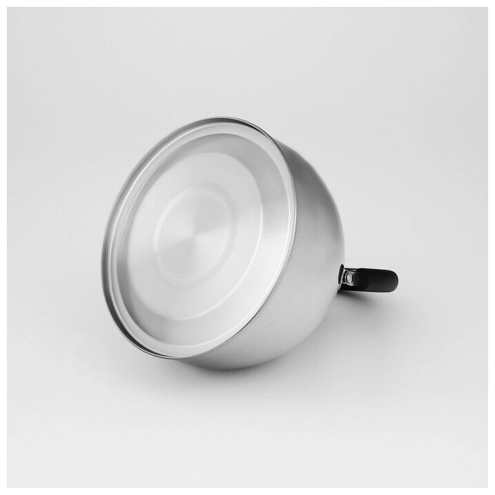 Чайник на плиту Катунь - фото №7