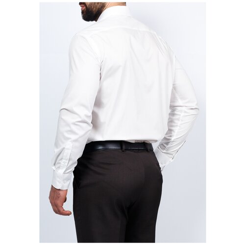 фото Рубашка мужская длинный рукав greg 510/311/alt/z рост 164-172 размер 44