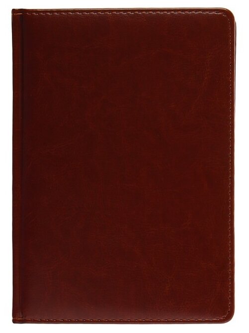 Альт Ежедневник недатированный А5+, 136 листов Sidney Nebraska, твёрдая обложка, искусственная кожа, золотой срез, коричневый