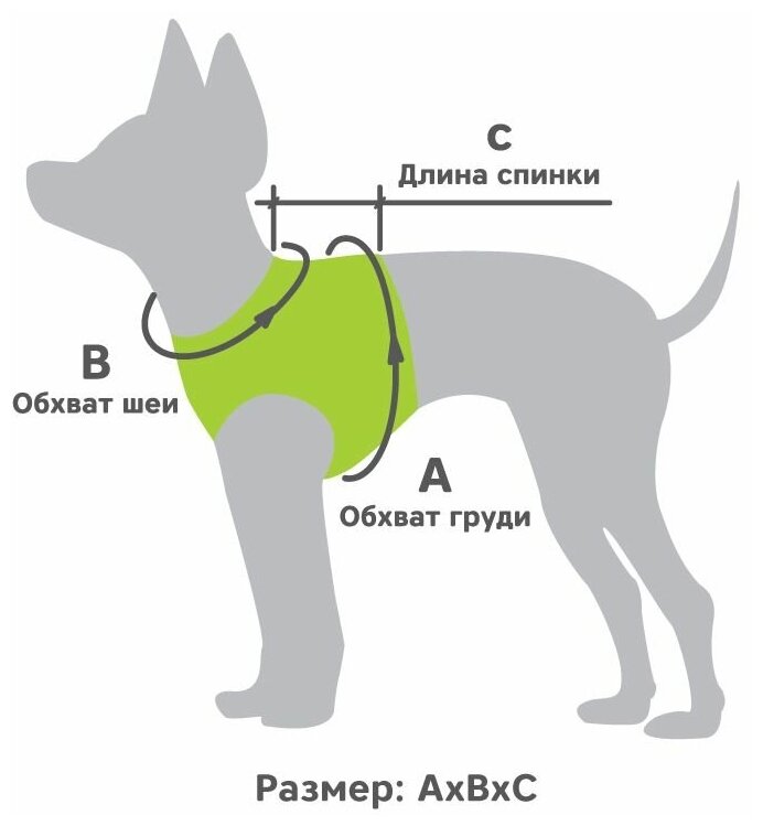 Шлейка-жилетка TRIOL мягкая бордовая S, обхват груди 36-44 см, серия BE TRENDY - фотография № 3