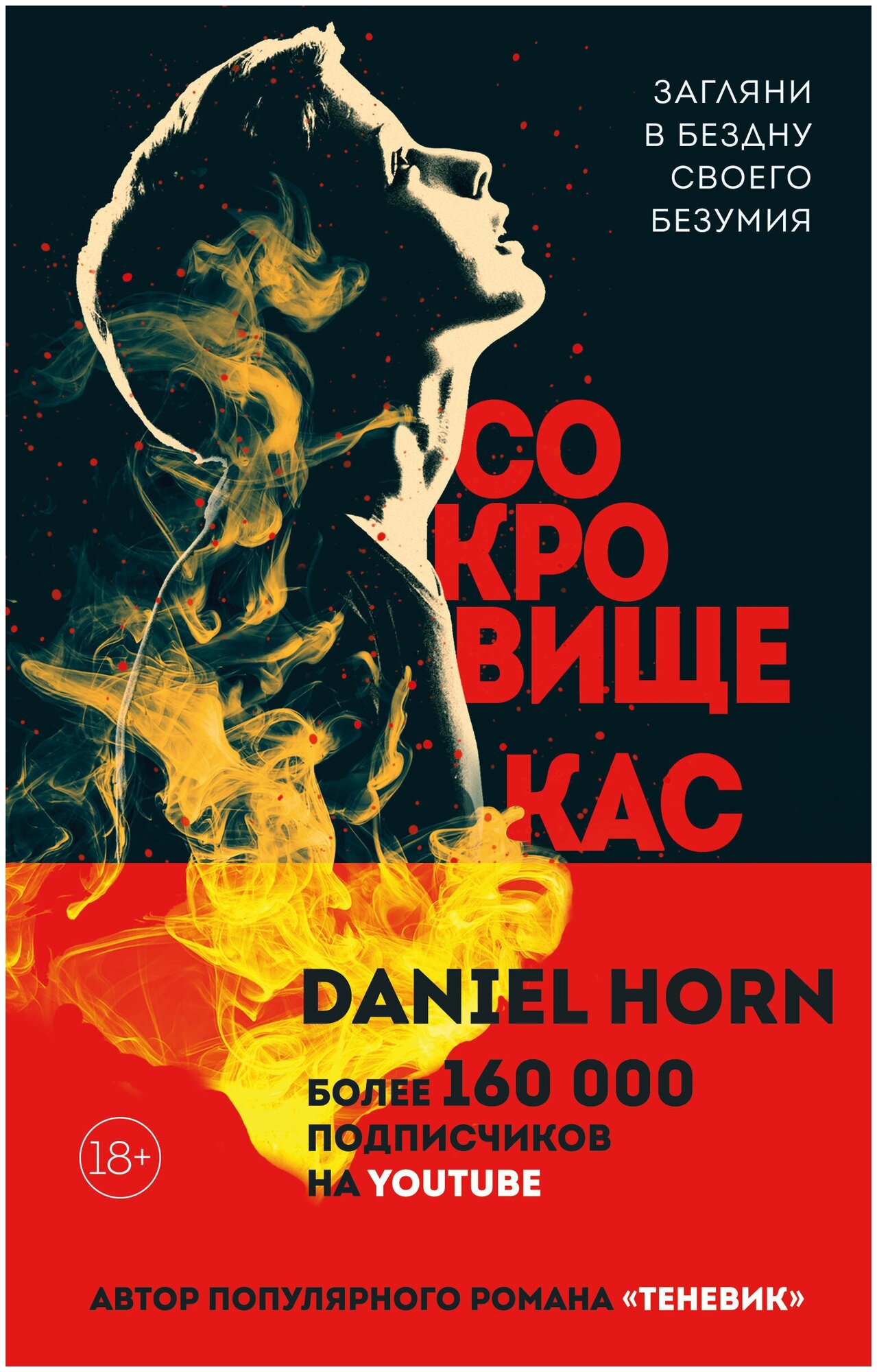 Сокровище Кастеров (Дэниел Хорн) - фото №12