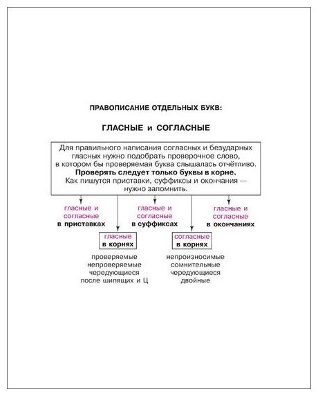 Правила русского языка в таблицах и схемах - фото №3