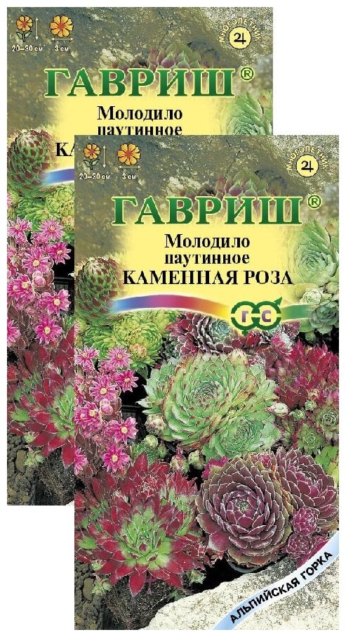 Молодило Каменная Роза (0,01 г), 2 пакета