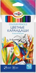 Цветные карандаши для школы 12 цветов для рисования мягкие / Школьный набор цветных карандашей Гамма "Классические"