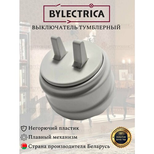 Винтажный ретро выключатель белый А510-2204 Bylectrica двухклавишный 10А, тумблерный