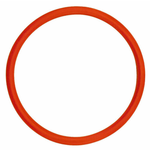 Уплотнительное кольцо для ареометра RAPT Pill