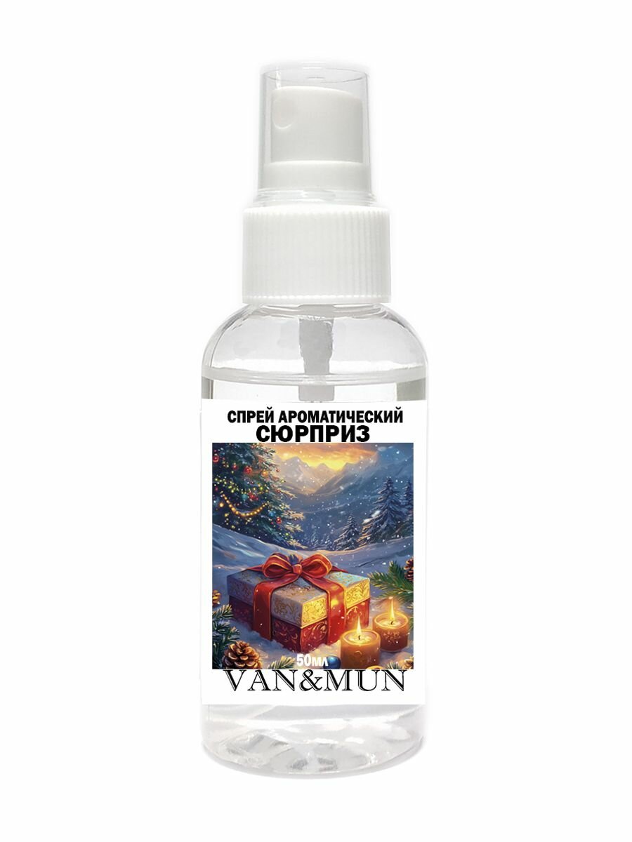 Ароматический спрей для дома и офиса VAN&MUN Сюрприз 50мл
