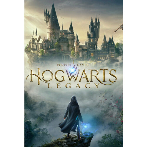 Игра для PS4 и PS5 Hogwarts Legacy Deluxe Edition русские субтитры 3400₽