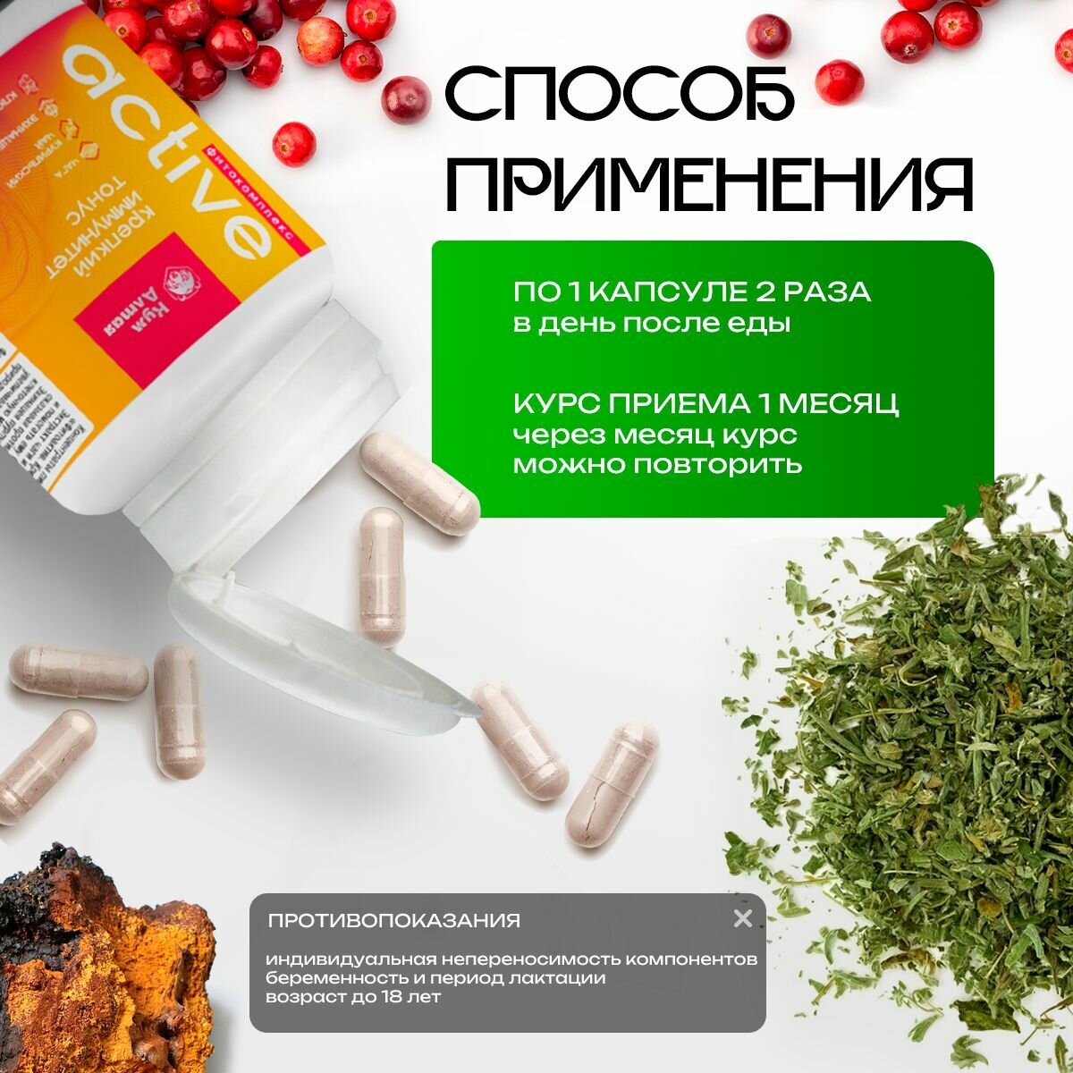 Гомеопатические Препараты Для Повышения Иммунитета Комплекс КумАлтая "ФИТО-Active", для иммунитета и тонуса организма, 60 капсул