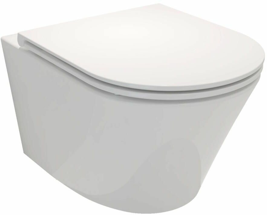 Подвесной унитаз ( Чаша подвесного унитаза ) Jacob Delafon Rodin+ EDY102-00