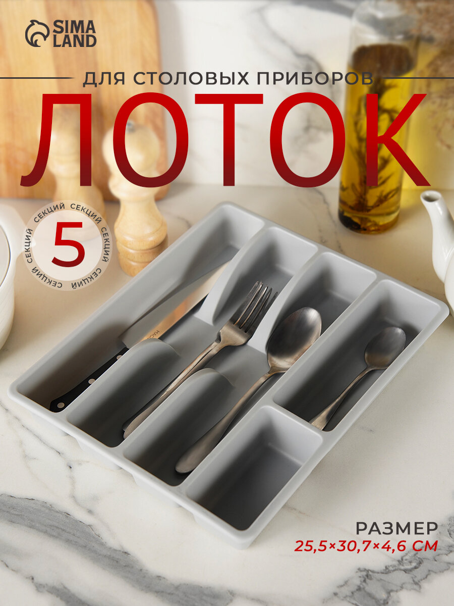 Лоток для столовых приборов 5 отделений 255×307×46 см цвет серый