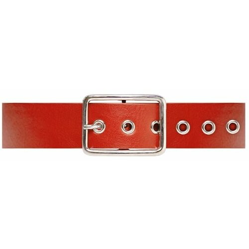 фото Ремень натуральная кожа, для женщин, размер s, красный julia
