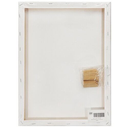 Холст Две картинки на подрамнике 30X40 