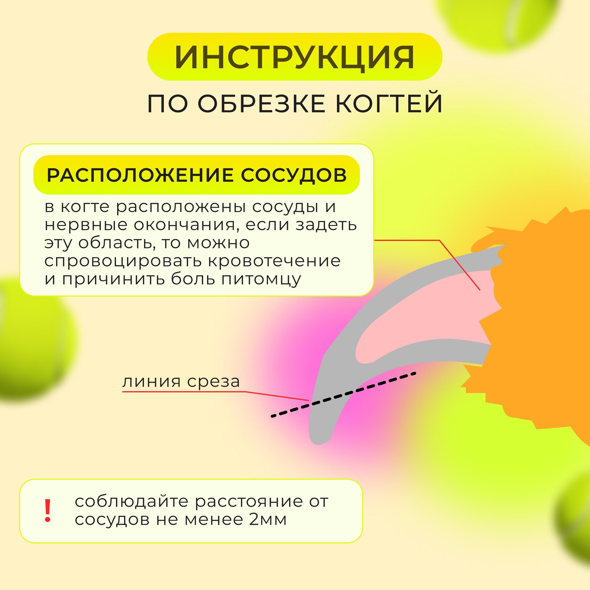 Когтерез для кошек и собак / Когтерезка для животных - фотография № 4