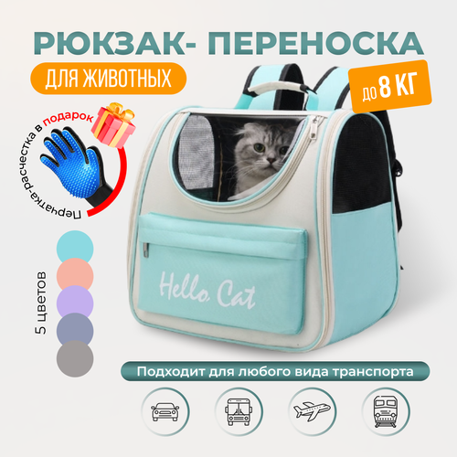 Рюкзак переноска с окном для кошек, собак и грызунов / бирюзовый