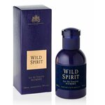 Parfums Eternel Туалетная вода мужская Wild Spirit, 100 мл - изображение