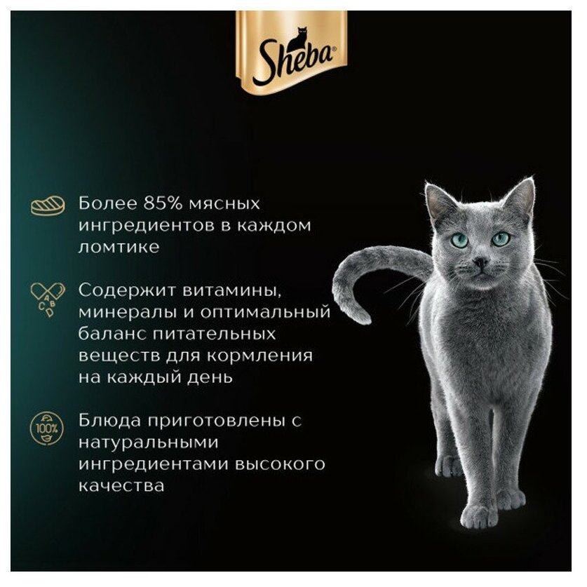 Корм для кошек SHEBA ломтики в соусе курица пауч 75г (упаковка - 28 шт) - фотография № 11
