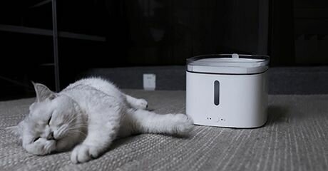 Поилка умная автоматическая Xiaomi Smart Pet Fountain Белый - фотография № 5